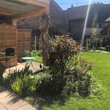 Gite Jasmin Herrlisheim-près-Colmar Dış mekan fotoğraf