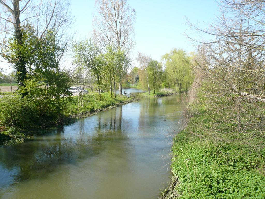 Gite Jasmin Herrlisheim-près-Colmar Dış mekan fotoğraf